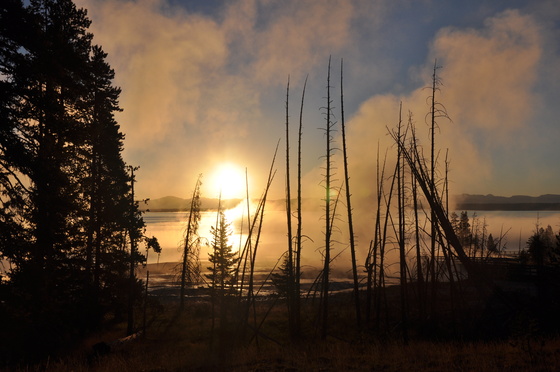 Yellowstone National Park
