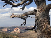 bryce canyon national park