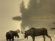 Isle Royale National Park