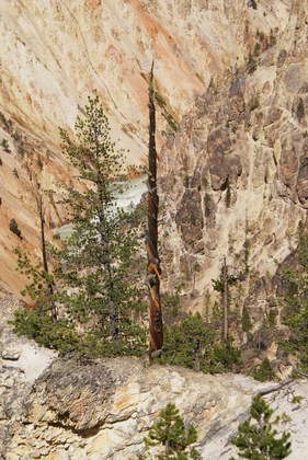 Yellowstone National Park