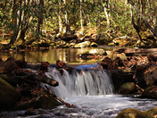 Great Smoky Mountains National Park