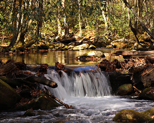Great Smoky Mountains National Park