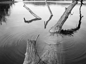 Land Between the Lakes