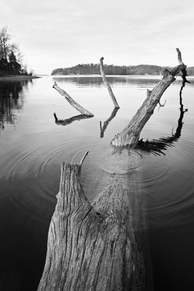 Land Between the Lakes