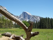 Yosemite NP