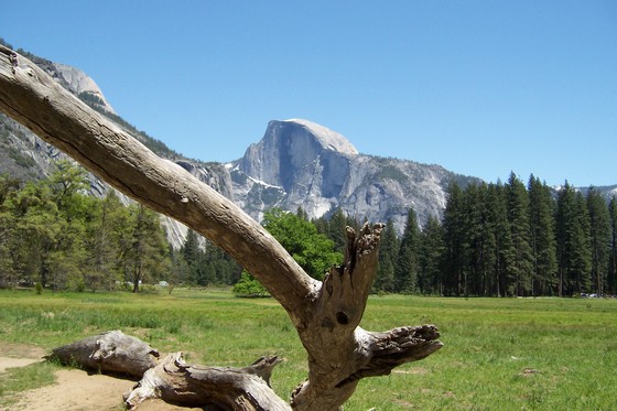 Yosemite NP