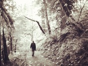 Mount Hood National Forest