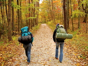 Daniel Boone National Forest