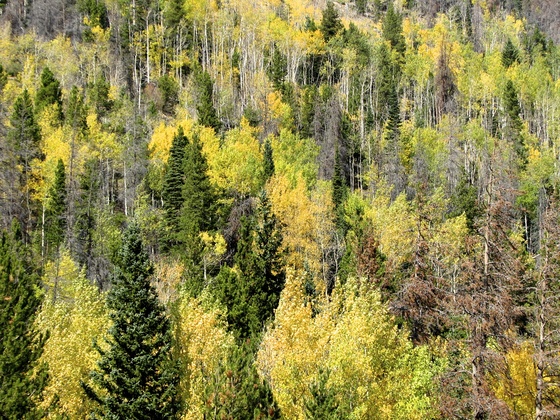 Rocky Mountain NP