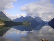 Nature's Reflections