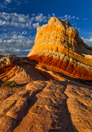 Vermilion Cliffs National Monument