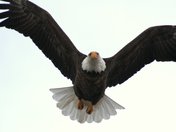 Lee Metcalf National Wildlife Refuge