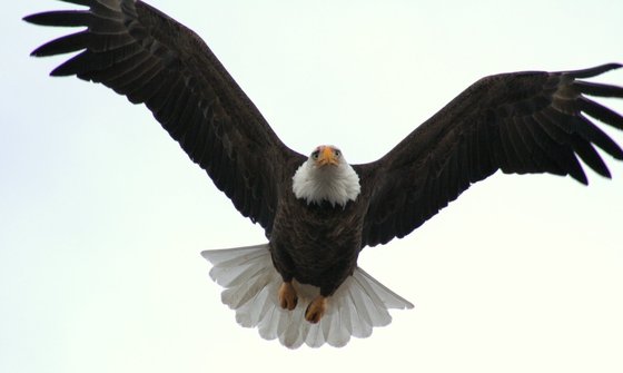 Lee Metcalf National Wildlife Refuge
