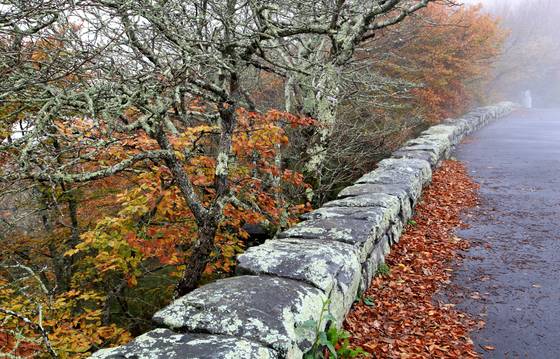 Blue Ridge Parkway