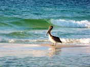 Gulf Islands National Seashore
