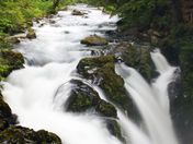 Olympic National Park