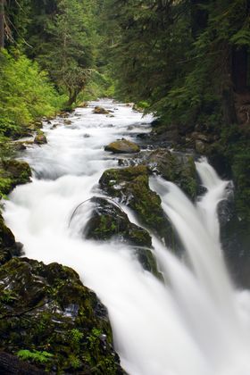 Olympic National Park