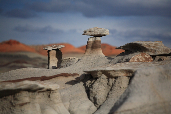 Bisti/De-Na-Zin Wilderness