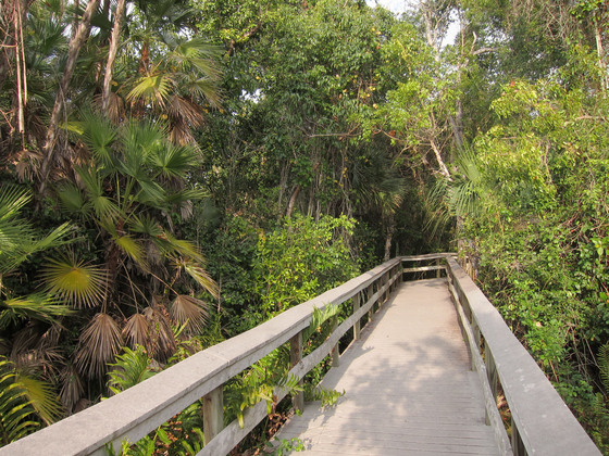 Everglades National Park