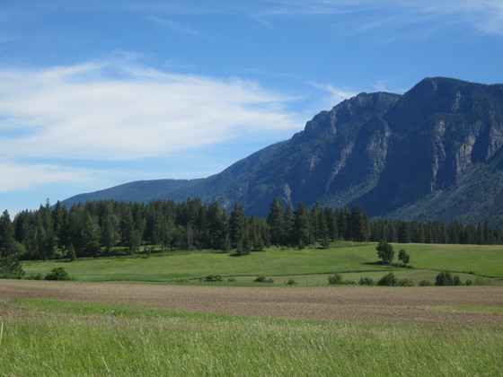 Kaniksu National Forest