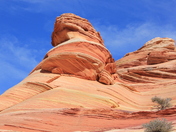 coyote butte