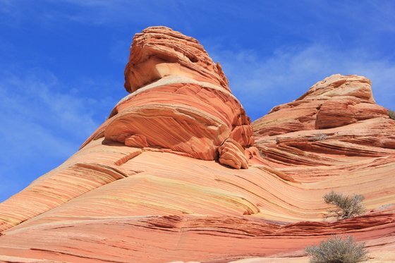 coyote butte