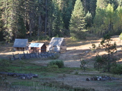 Stanislaus National Forest
