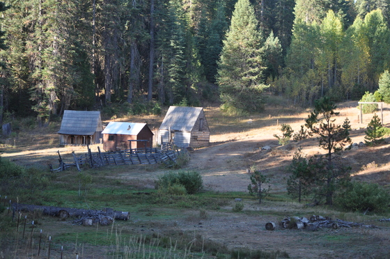 Stanislaus National Forest