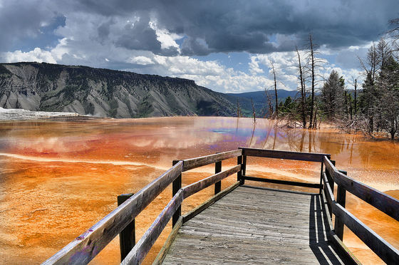 Yellowstone National Park