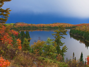 Superior National Forest