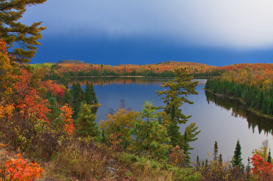 Superior National Forest