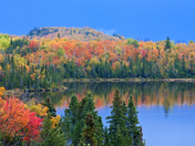 Superior National Forest