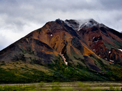 Denali National Park