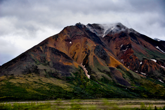 Denali National Park