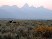 Grand Teton National Park