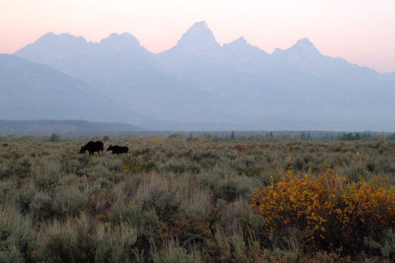 Grand Teton National Park