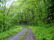 Great Smoky Mountains National Park
