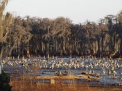 Banks Lake Wildlife Refuge