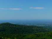 Ouachita National Forrest