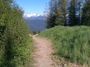 Lolo Nat Forest, Seeley Lake Dist