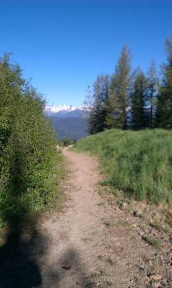 Lolo Nat Forest, Seeley Lake Dist
