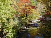 Ouachita National Forrese