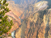 Yellowstone National Park