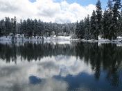 Ochoco National Forest , Oregon