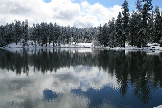 Ochoco National Forest , Oregon