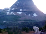 Glacier National Park