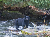 Juneau National Park/Alaska