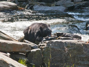 Juneau National Park/Alaska