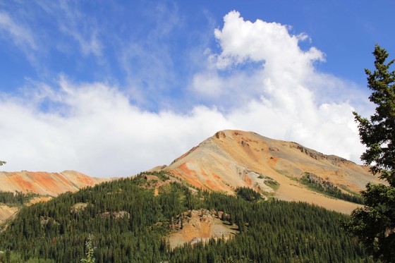 San Juan National Forest