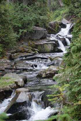 Mt Rainier National Park